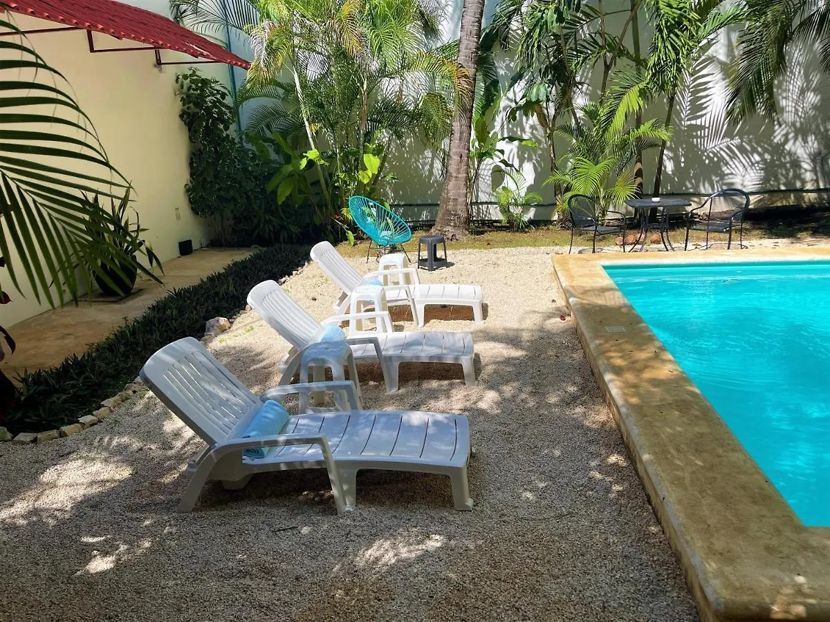 Hotel Mariachi By Kavia 5Th Av Πλάγια Ντελ Κάρμεν 4*,
